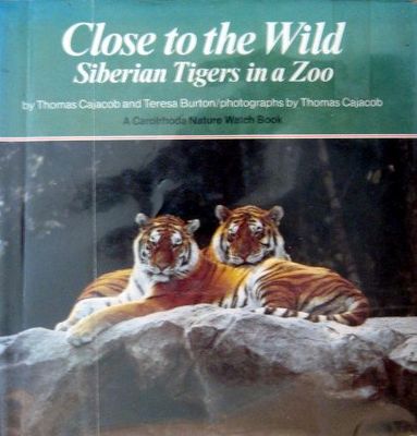 Close to the wild : Siberian tigers in a zoo