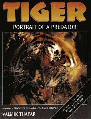 Tiger : portrait of a predator
