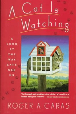 A cat is watching : a look at the way cats see us (LARGE PRINT)