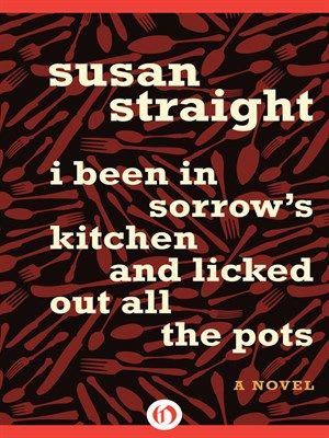 I been in sorrow's kitchen and licked out all the pots : a novel