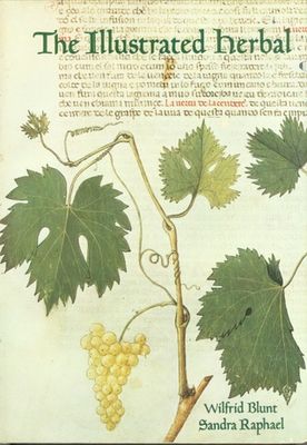 Illustrated herbal