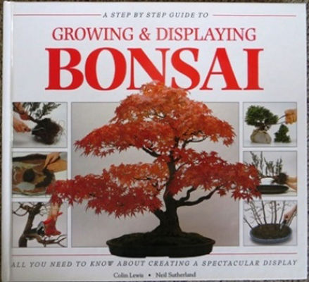 Step-by-step guide to growing & displaying bonsai