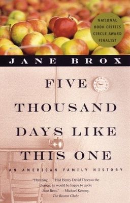 Five thousand days like this one : an American family history  (Large Print) (LARGE PRINT)
