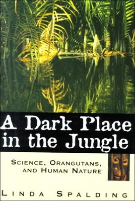 Dark place in the jungle