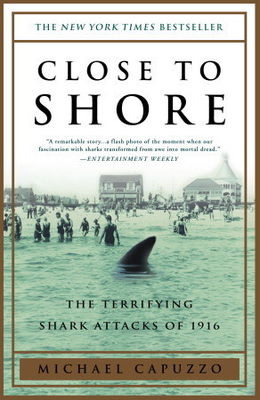 Close to shore : a true story of terror in an age of innocence (LARGE PRINT)