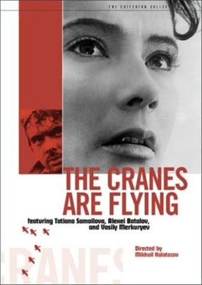 Cranes are flying