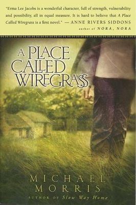 A place called Wiregrass (LARGE PRINT)