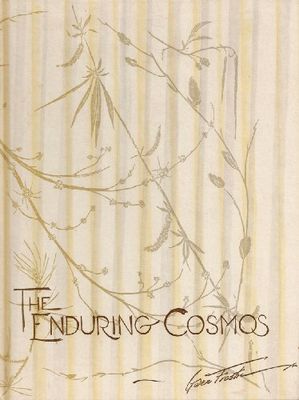 Enduring cosmos
