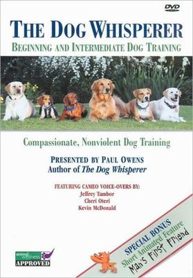 Dog whisperer : beginning and intermediate dog training
