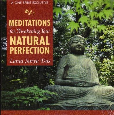 Meditations for awakening your natural perfection (AUDIOBOOK)