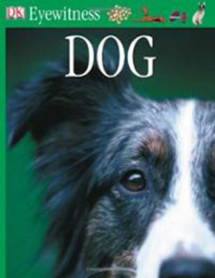 Dog  (Eyewitness books)