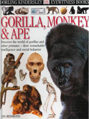 Gorilla, monkey & ape