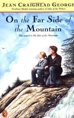 On the far side of the mountain (AUDIOBOOK)