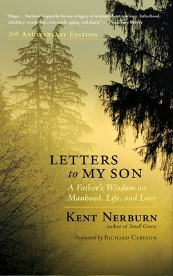 Letters to my son : reflections on becoming a man