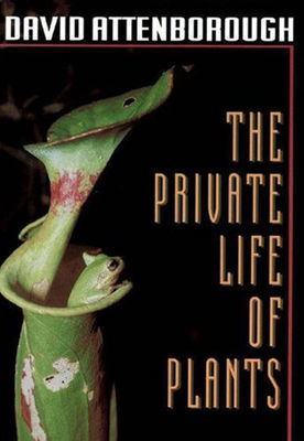 The private life of plants : a natural history of plant behaviour (LARGE PRINT)