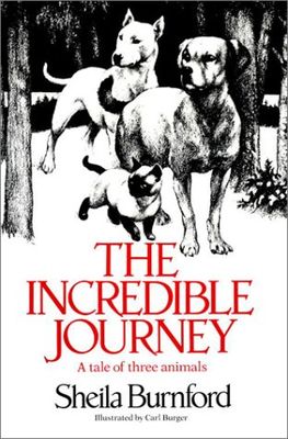 The incredible journey.
