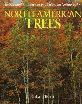 North American trees
