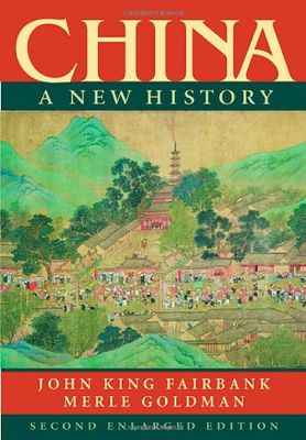 China : a new history