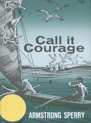 Call it courage (AUDIOBOOK)