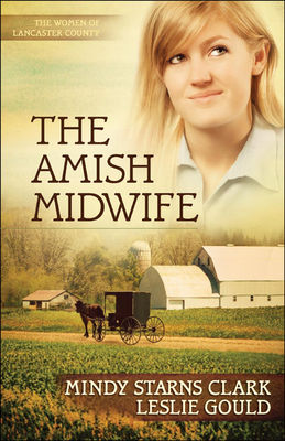 The Amish midwife (LARGE PRINT)