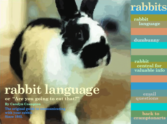 Rabbit language or, "Are you going to eat that?" : a humorous guide to communicating with your pet rabbit