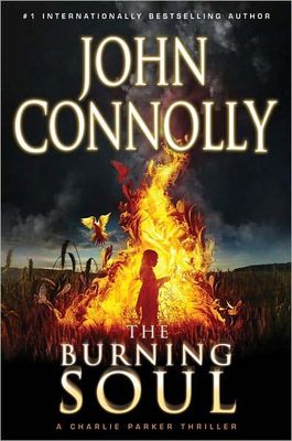 The burning soul (AUDIOBOOK)