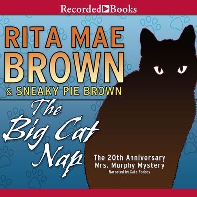 The big cat nap (AUDIOBOOK)