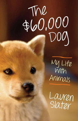 The $60,000 dog my life with animals