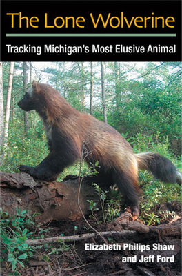 The lone wolverine : tracking Michigan's most elusive animal