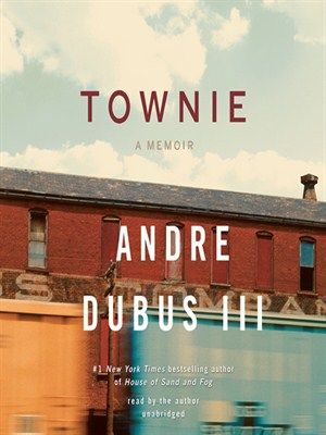 Townie (AUDIOBOOK)