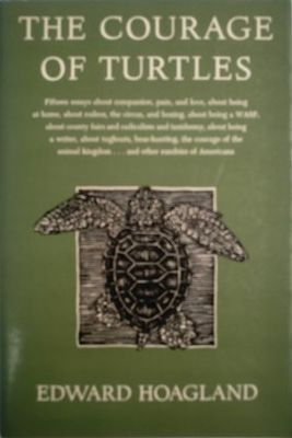 The courage of turtles : fifteen essays about compassion, pain, and love ...