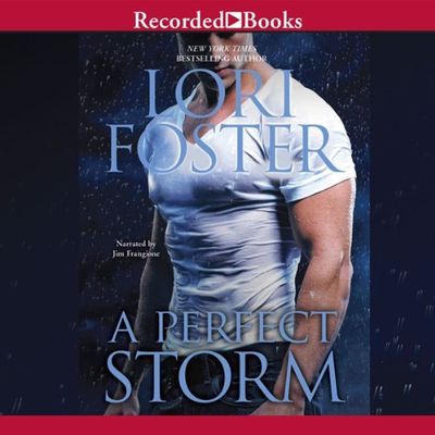 A perfect storm (AUDIOBOOK)
