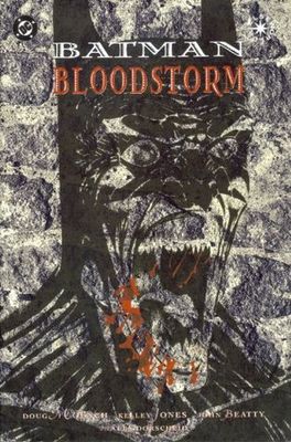 Batman : bloodstorm