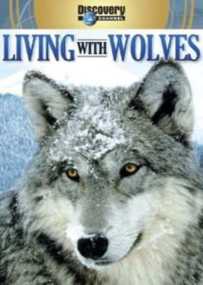 Living with wolves