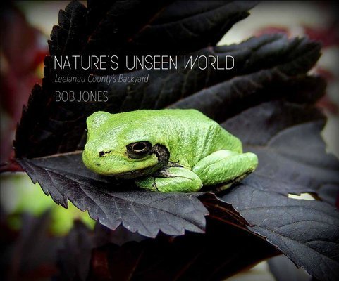 Nature's unseen world : Leelanau County's backyard