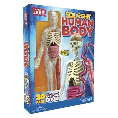 S.T.E.M. kit : Squishy human body.
