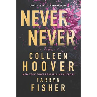 Never never (LARGE PRINT)