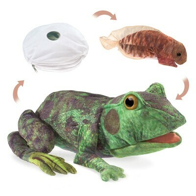 Frog life cycle reversible puppet.