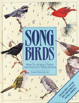 Songbirds : how to attract them and identify their songs