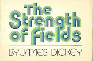 Strength of fields
