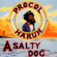 SALTY DOG (COMPACT DISC)
