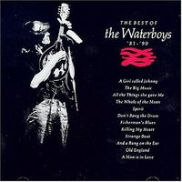 The best of the Waterboys '81-'90