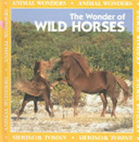 Wonder of wild horses