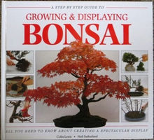 Step-by-step guide to growing & displaying bonsai