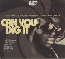 Can you dig it? disc 3 : the '70s soul experience.