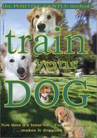 Train your dog