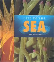Life in the sea