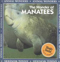 The wonder of manatees