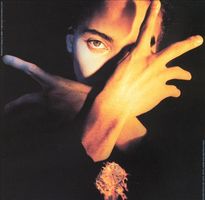 Terence Trent D'Arby's neither fish nor flesh