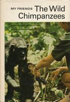 My friends, the wild chimpanzees,